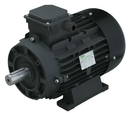 Moteur électrique triphasé Ravel RHE IE2